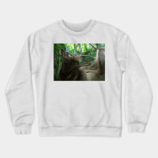 Caribat Crewneck Sweatshirt